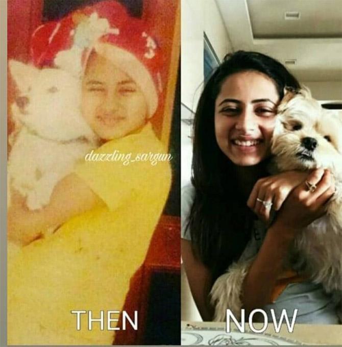 Missing her cute pets, Sargun Mehta shared a sweet post which read, 