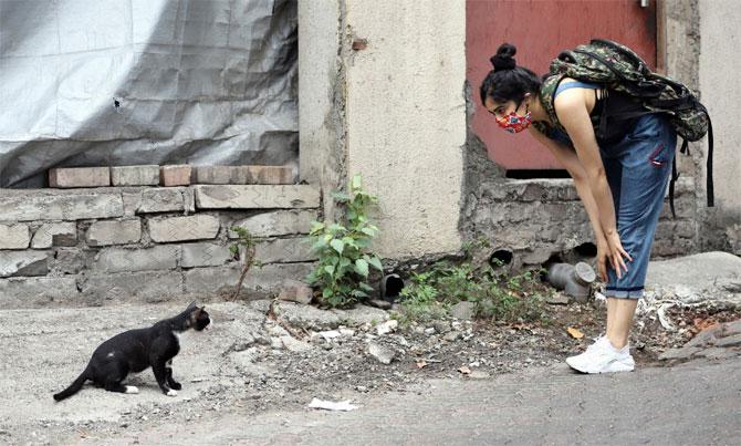 Adah Sharma was also spotted in Bandra. The actress was clicked trying to pet a stray cat. Adah sported a camo top and denim dungarees.