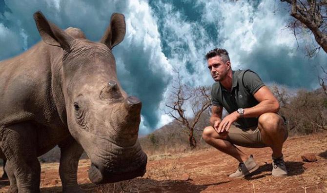 different heaven save rhinos different heaven save rhinos