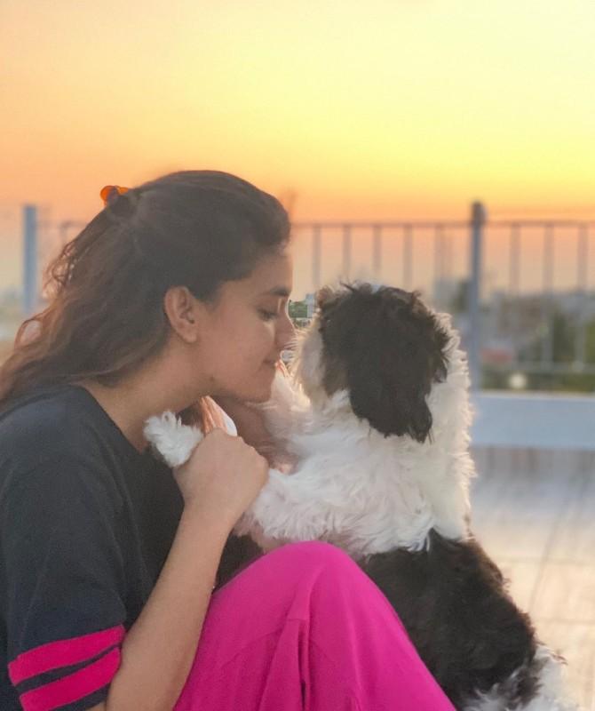 The actress, who was last seen in web film Penguin shared another picture with her pet. In thispicture, Keerthy is seen showering all the love to her dog. The picturesque sunset in the background adds aura to the picture. Sharing this picture, she wrote, 