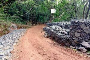 Sluggish pace of road works irks Matheran locals