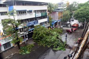 Cyclone Nisarga impact: Here's how Mumbai dealt with the aftermath