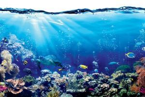 Ocean of awareness