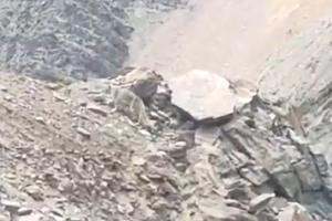 Can you spot the snow leopard in this viral video! Netizens are baffled