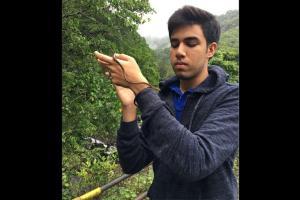Tejas Thackeray, team finds new gecko species in Western Ghats