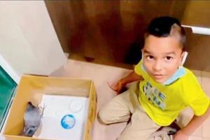 Shikhar Dhawan rescues a pigeon, son Zoraver feeds it