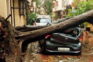 25 rescued after tree crashes on 10 row houses in Nerul
