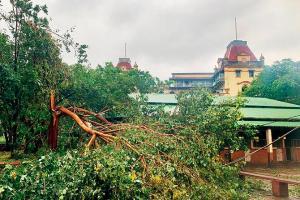 Cyclone Nisarga: A stormy time gallops closer