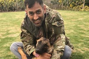 MS Dhoni is as chilled out as back in 2004, only with white hair