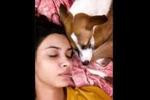 Diana Penty shares picture with her 'nap buddy'