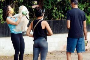 Mumbai Diary: Tuesday Dossier