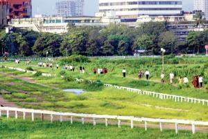 2 months later, Mahalaxmi race course opens for two-legged fleet