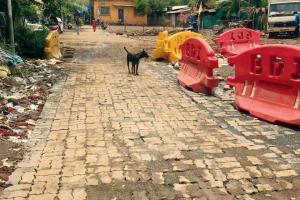 Mumbai: Tired of waiting, locals build part of BMC road