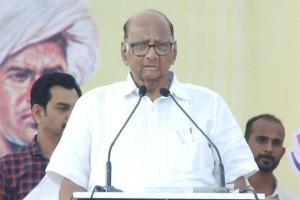 Sharad Pawar: MVA govt to last 5 years, united in COVID-19 fight
