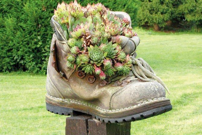 A shoe planter