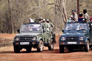 Unlock 1.0: Tadoba, Pench to open from July 1, but with restrictions