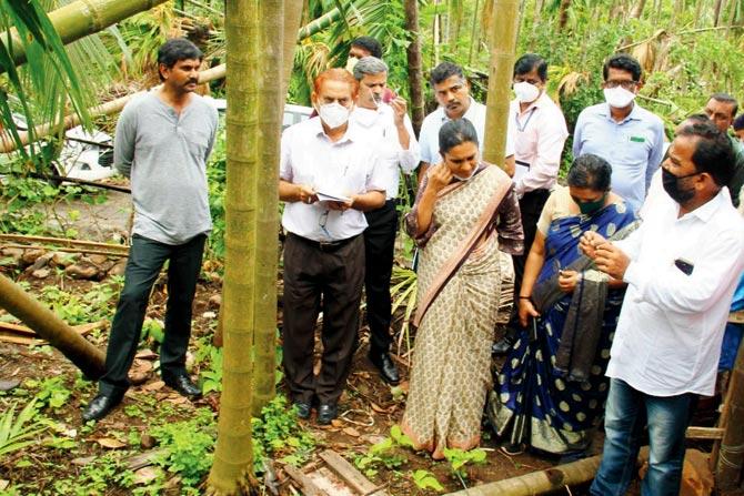 they observed first-hand the losses to horticulture in Raigad