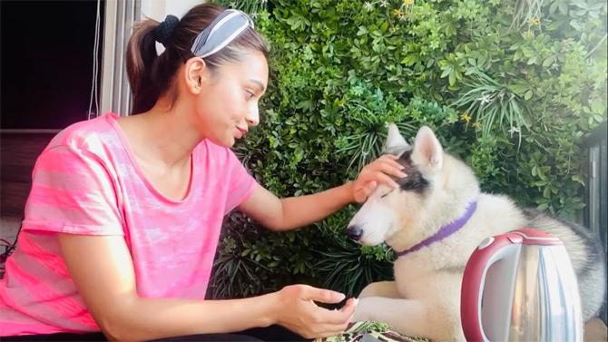 Nusrat's best friend Mimi Chakraborty was seen spending her quarantine time with her pet dogs, Chickoo and Max. Mimi wrote: Stay home. We are in this together...!