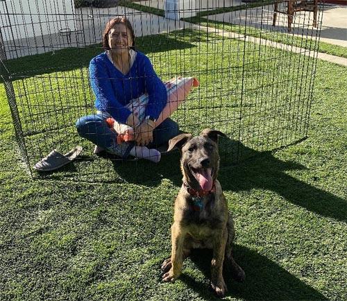 Preity Zinta shared this photo of her mother in what appears to be a cage and captioned it: 