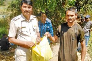 Mumbai: Dead birds and 100 live snares removed from Kandivli lake