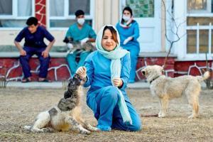 Afghan women fear losing hard-won freedom