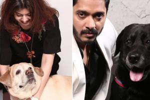 Shreyas Talpade's pet brings emotional peace during COVID-19