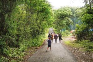 Sanjay Gandhi National Park shuts for visitors from today