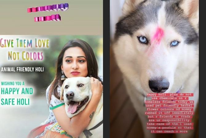Mimi-Holi-Dogs