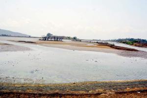 Save Maharashtra's wetlands, says a petition
