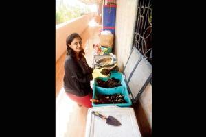 Want your housing society to start composting?
