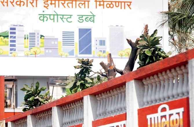 The hoarding that was put up at Worli after trees were mercilessly chopped to ensure visibility