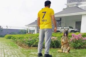 MS Dhoni: When CSK fans call me 'Thala' it shows their love for me