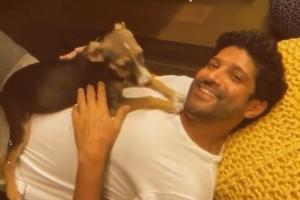Farhan Akhtar plays with his pet doggo and it's too precious; watch!