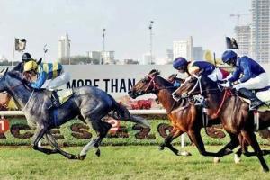 Indian horse racing screeches to a halt