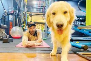 Hrithik Roshan urges people to stay at home with a paw-dorable post!