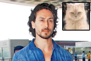 Tiger Shroff, sister Krishna and parents pay tribute to their cat JD!