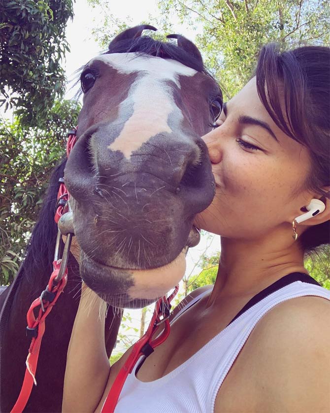 Another actress who is in love with Arpita Farms' horses is Jacqueline Fernandez. 