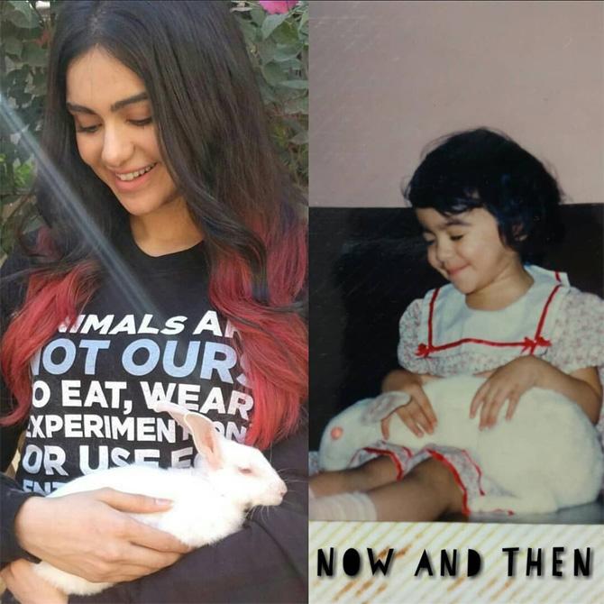 Adah Sharma is also actively involved with animal welfare organisations. She had launched a drive a few years ago to adopt strays. She wants to spread the message that instead of buying expensive dog breeds, it is better to give a stray a home.