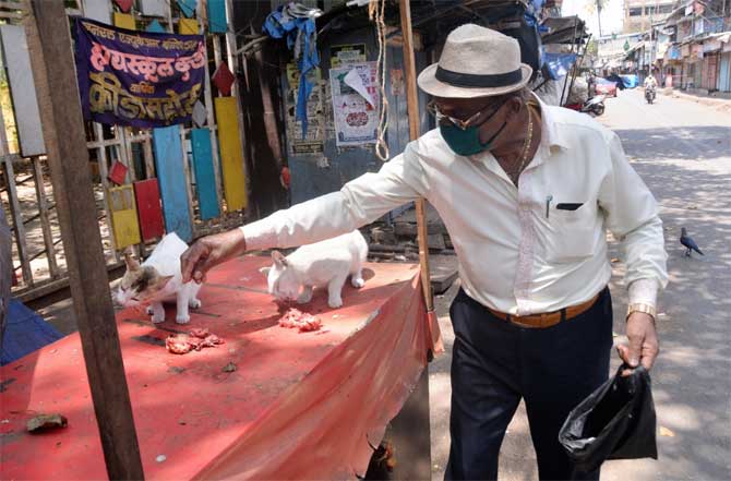 As many as 714 personnel, including 81 officers, of Maharashtra police contracted COVID-19, and of these 61 had recovered from the infection, he said, adding that maximum number of coronavirus cases reported in the police department were from Mumbai.
In picture: A man feeds cats outside a school in Kurla