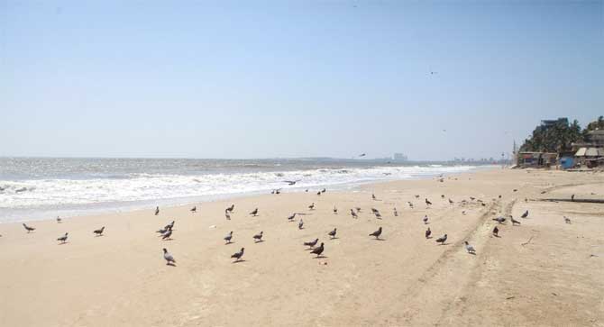 Pawar spoke over phone to Railways Minister Piyush Goyal and Maharashtra Chief Minister Uddhav Thackeray on the issue of repatriation of migrant workers to their home statesduring the coronavirus-induced lockdown period.
In picture: An empty Juhu Beach on a hot Saturday afternoon.
