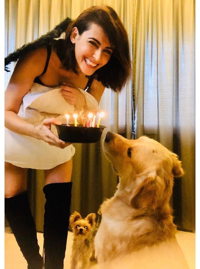 Mandana Karimi: Madana Karimi celebrated her birthday on May 22. The actress celebrated her special day with her two cute pet dogs. Sharing a picture of her birthday celebration, she wrote, 