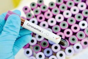 WHO says 8 COVID-19 vaccine candidates in clinical trial