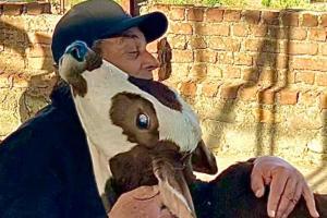 Dharmendra expresses his love for animals in an adorable post