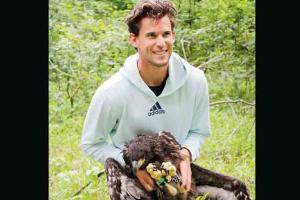 Tennis star Dominic Thiem helps two eagles soar with GPS tags