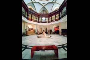 Medical science and the museum