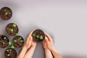 Nurture through nature