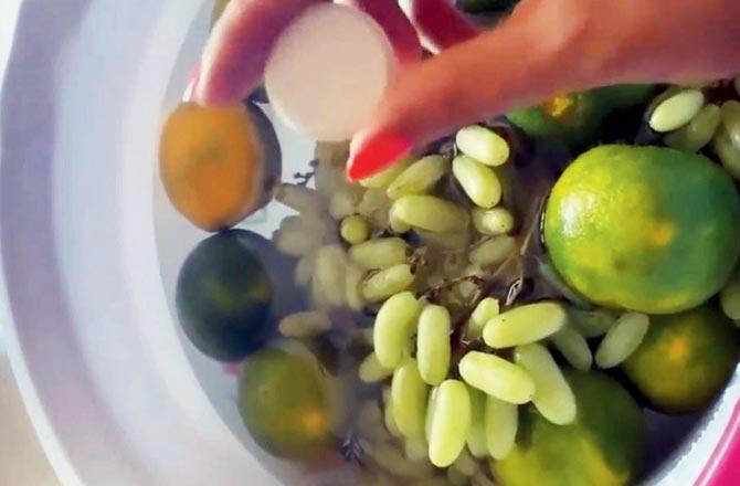 Fruits being disinfected in a tub of water with Sanitab