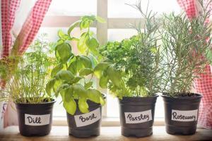 Ctrl+ Alt + Relax: Smart ways to unwind end of week