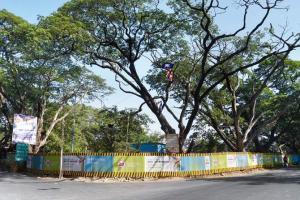 Aarey officials to crack whip against illegal encroachers