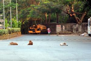 Section 144 imposed in Mumbai for 11 hours every day